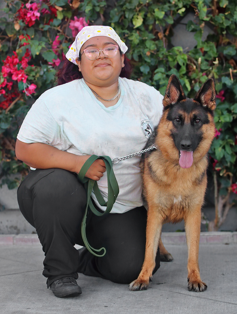 Westside German Shepherd Rescue of Los Angeles