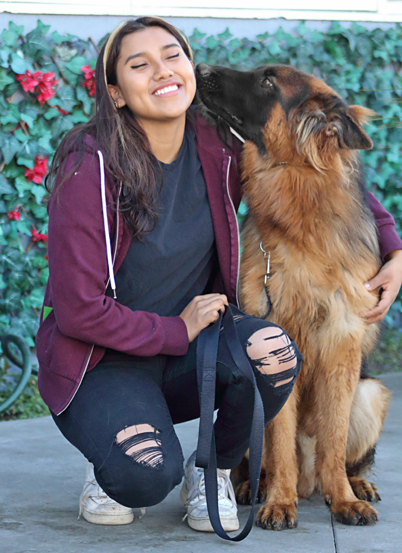 Westside German Shepherd Rescue of Los Angeles