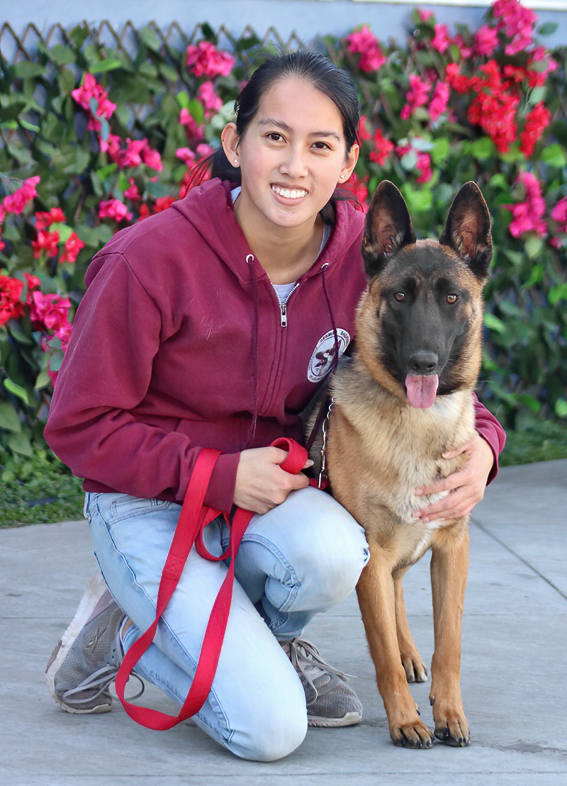 Westside German Shepherd Rescue of Los Angeles