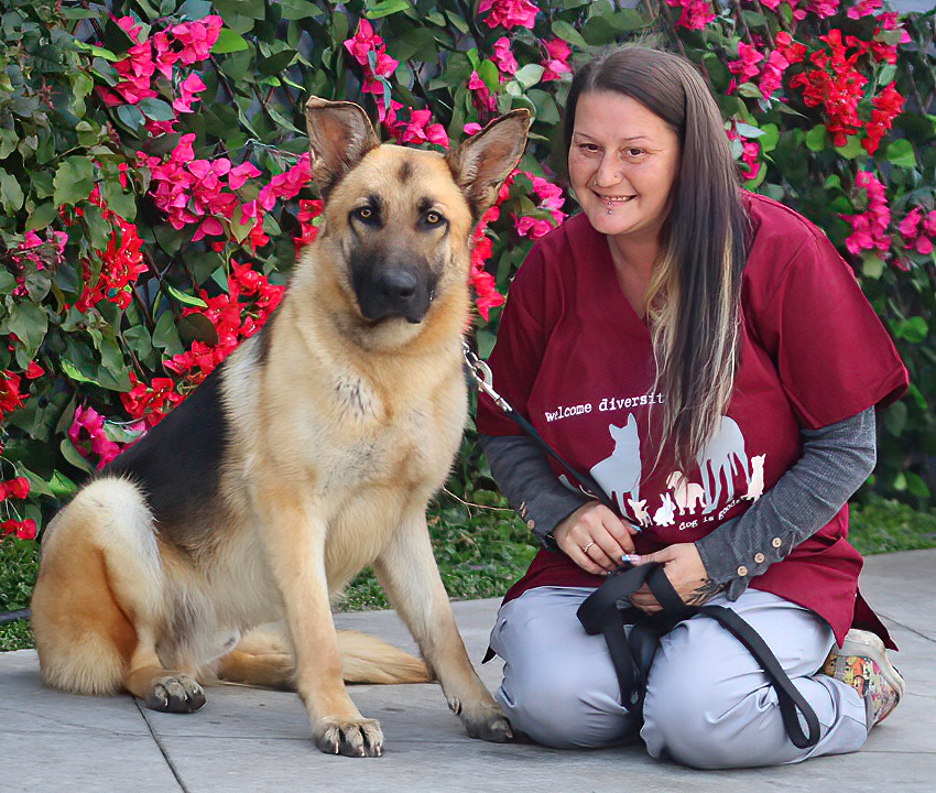 Westside German Shepherd Rescue of Los Angeles