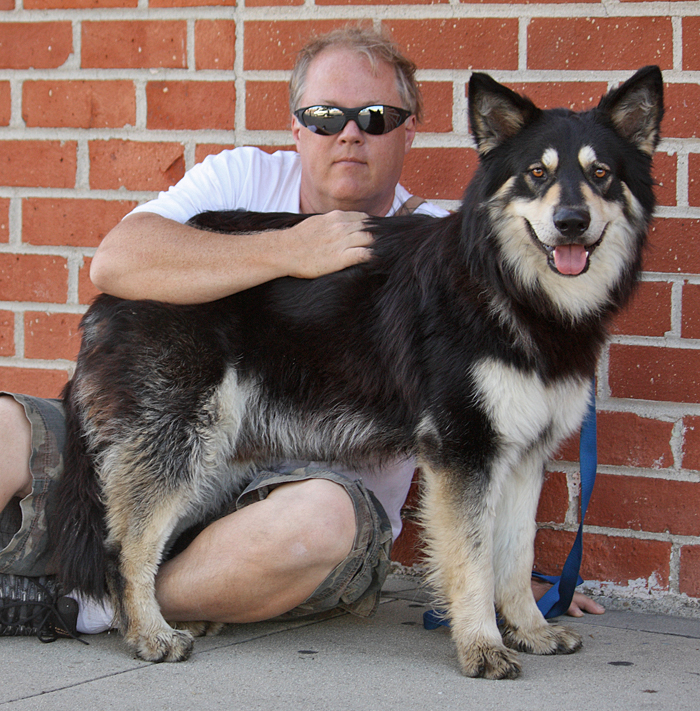 Westside German Shepherd Rescue of Los Angeles