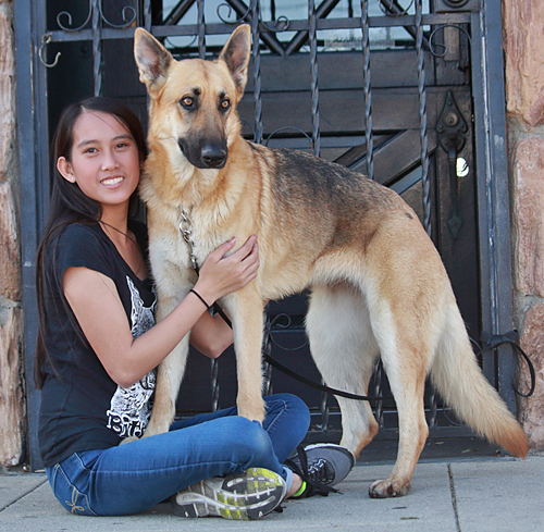 Westside German Shepherd Rescue of Los Angeles